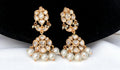 Hayah Polki mossanite Earrings