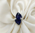 TRI2 ring